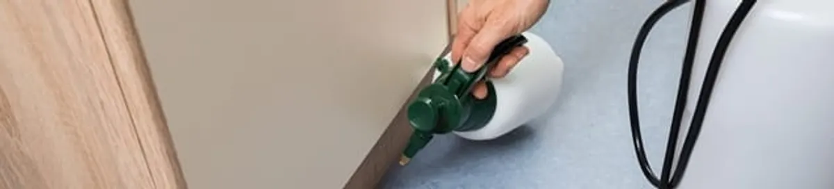Bed bug exterminator treating baseboards and cracks with targeted spray in Stamford, CT