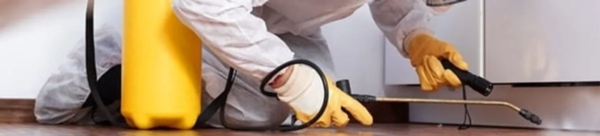 Roach exterminator treating cracks and crevices along kitchen baseboards in Stamford, CT